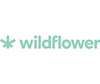 Buy Wildflower