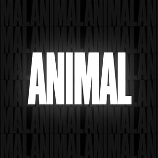 Animal Pak Coupons
