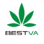 BESTVALED Coupons
