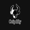 Coipdfty