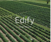 Edify One Coupons