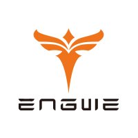 Engwe Coupons