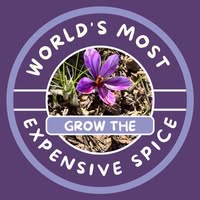 She's Rooted Home Promo Codes
