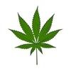 Mycannaby