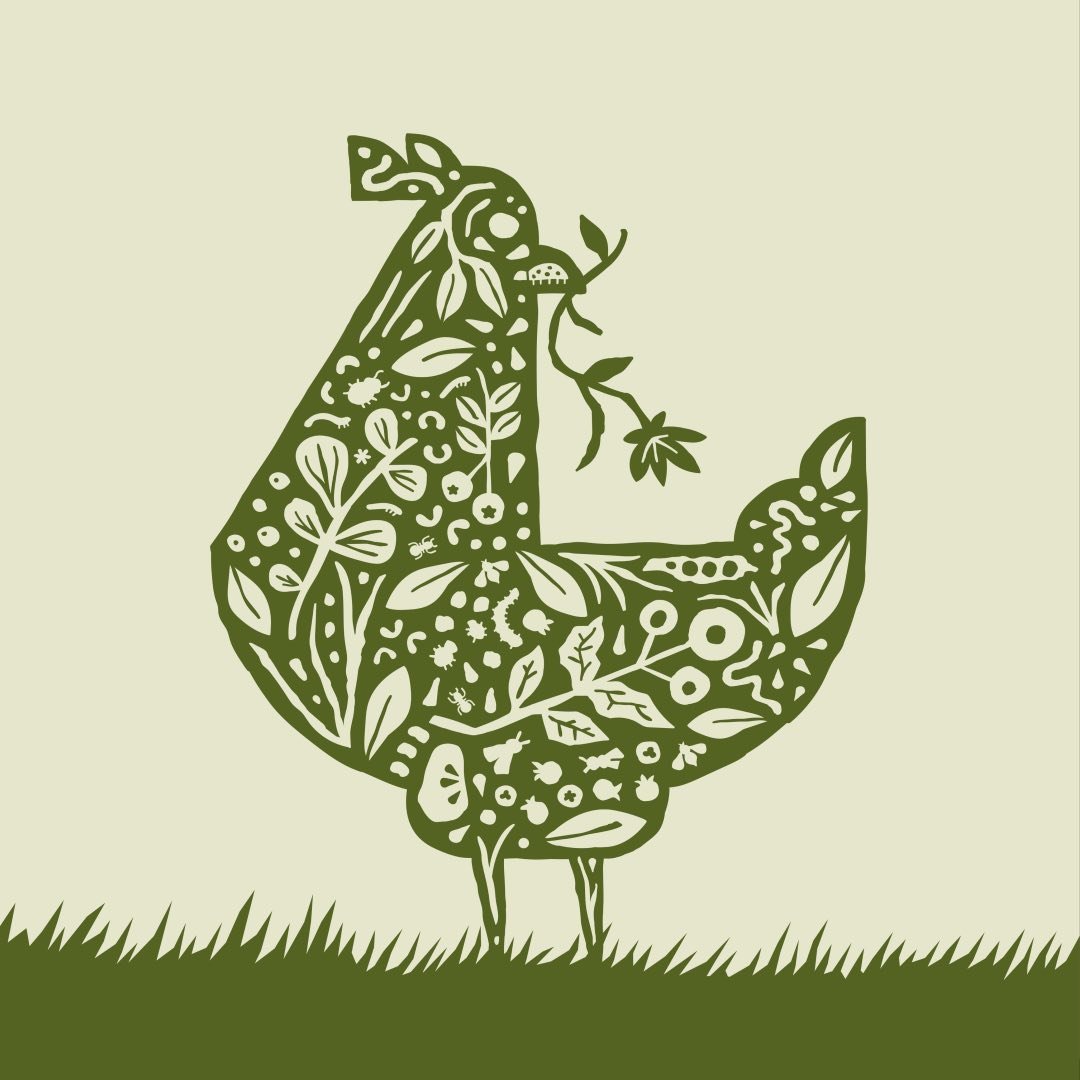Pasturebird Coupons