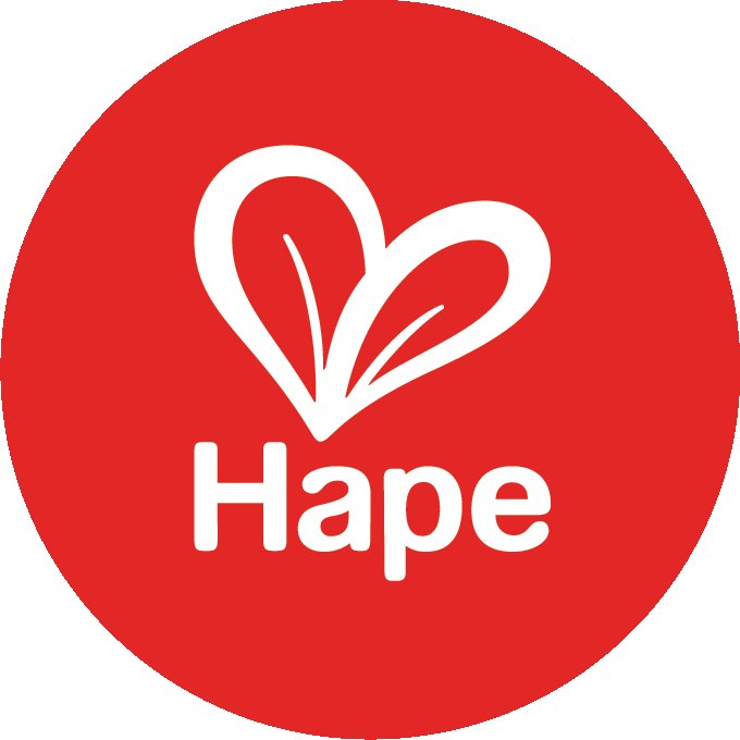 Hape Toys